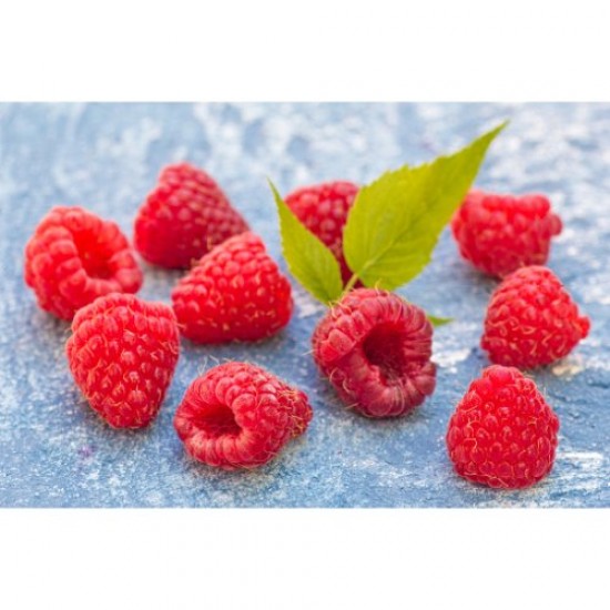 Fidan & Peyzaj - Saksıda/Balkonda Yetişen Dikensiz Ahududu Fidanı (Açık Kök / 1 Yaş)