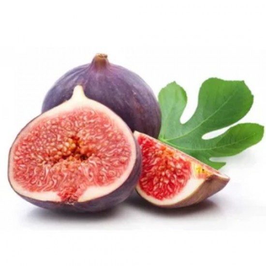 Fidan & Peyzaj - Siyah İncir Fidesi (Açık Kök / 20-40 cm. Boyda)