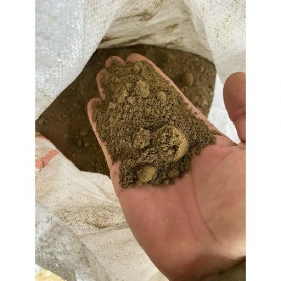 Fidan & Peyzaj -Balkonda Ahududu Yetiştirme Seti (Aynı Yıl Meyve)