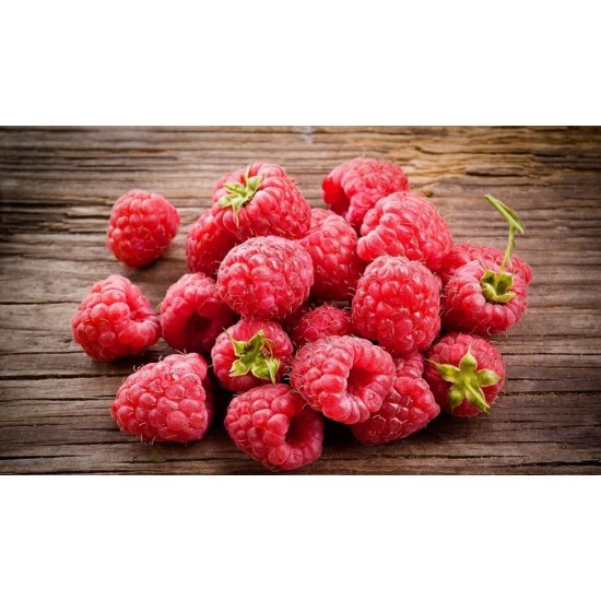 Fidan & Peyzaj -Balkonda Ahududu Yetiştirme Seti (Aynı Yıl Meyve)